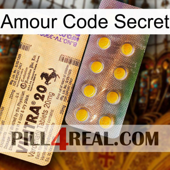 Love Secret Code new06